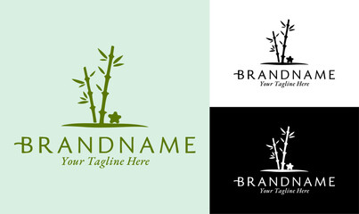 Bamboo Tree Logo Design Template for Wellness, Spa, and Nature Brands