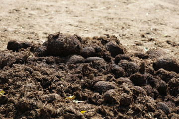 White rhinoceroses' dung in zoos is used for agriculture.