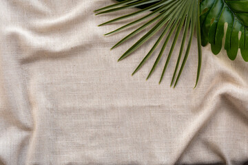 Aesthetic beige background with palm leaf, tropical background wallpaper