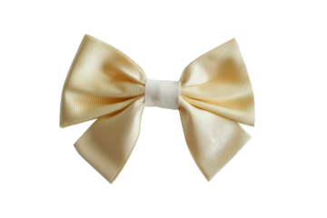 Bow ribbon isolated on transparent background.