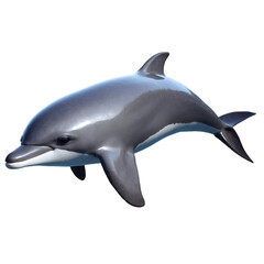 Fototapeta premium Majestic Dolphin Gliding Through the Ocean at Sunset