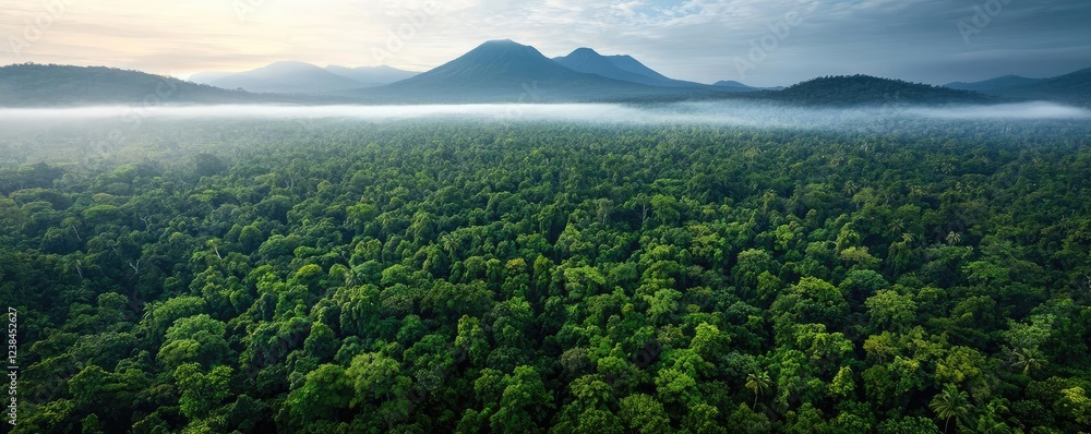 Poster Misty forest nature idea. Aerial view of a dense forest with misty mountains in the background at sunrise.