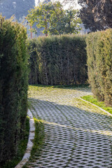 Ornamental Garden with Topiary Landscaping