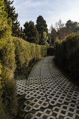 Ornamental Garden with Topiary Landscaping