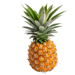 Fototapeta premium pineapple on white background