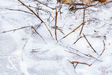 Iced grass forest background sunset background trees in the distance 