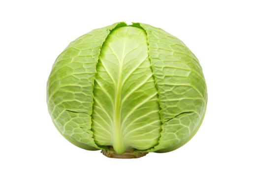 A fresh green cabbage with its leaves slightly peeled back, isolated on a white background