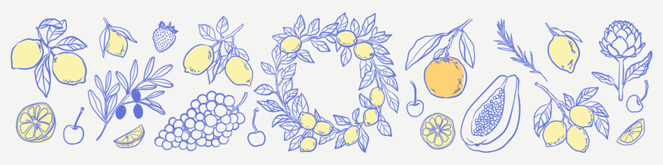 Italian Summer Citrus Harvest Set. Hand drawn illustrations with branches of lemons, orange, olive, fruits. Amalfi coast sketch doodles for wedding invitations, posters, t-shirts. Dolce vita.