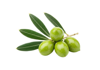 A small branch of green olives with dark green leaves, isolated on white background