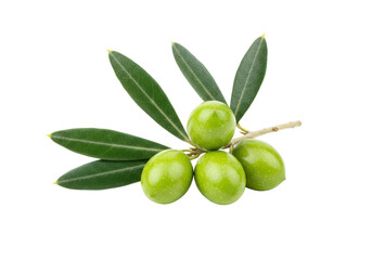 A small branch of green olives with dark green leaves, isolated on white background