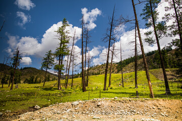 Obraz premium Baihaba Scenic Area in Altay, Xinjiang, China