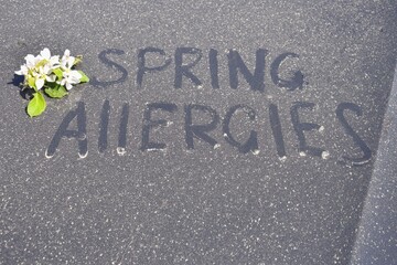 The inscription on the hood of a car, covered with pollen from blooming flowers and trees. Pollen season. Allergy season.