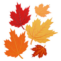 Maple Leaves 3D Illustration