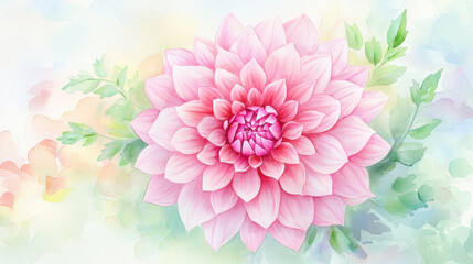Obraz premium Beautiful pink Dahlia flower blooming with soft pastel background colors.