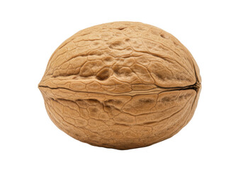 Single walnut in shell isolated on white background, no depth of field, sharp.