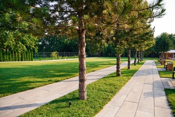 Path with trees, recreation area at summer daytime