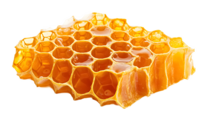 Hexagonal honeycomb on a transparent background. isolated background.