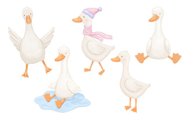 Cute goose characters set, baby animal, watercolor illustrations, drawings for kids isolated on white background