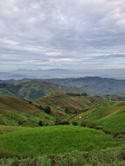 Obraz premium landscape in the mountains