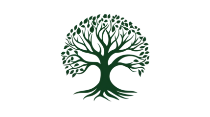 Green tree with leaves and roots showing on transparent background