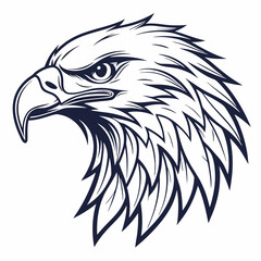 eagle head vector with white background
