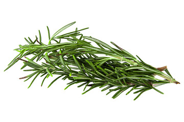 green rosemary herb isolated on white, transparent background. png file