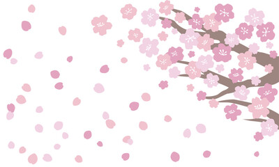 桜の花びら舞い散る風景