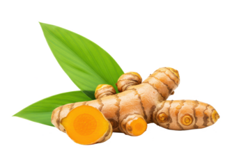 Turmeric root and leaves isolated on white background, no depth of field, sharp.