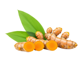 Turmeric root and leaves isolated on white background, no depth of field, sharp.