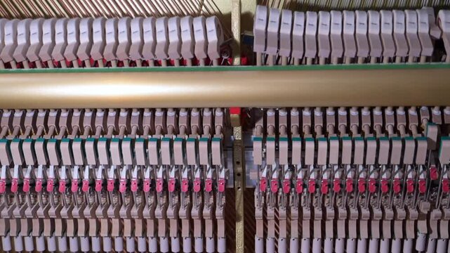 Piano tech, piano tuner.