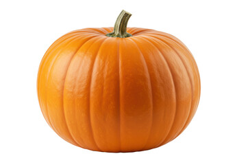 Pumpkin isolated on white background, no depth of field, sharp.