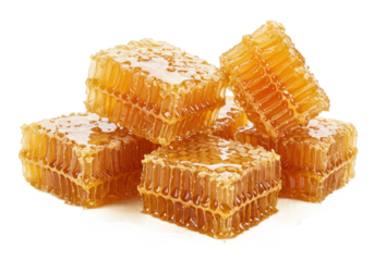 Sweet honey combs with honey isolated on white background, no depth of field, sharp.