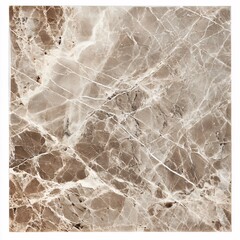 Polished Grey Veined Marble Tile with Intricate Natural Patterns on White Background