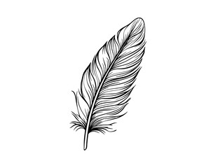 Obraz premium Single Feather Black and White Line Art with Delicate Detail
