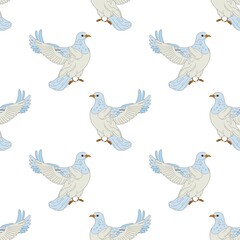 A white dove in close-up, isolated illustration, on a white background pattern