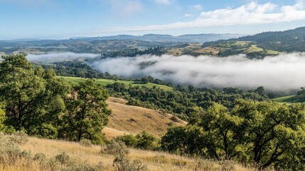 Misty Morning View of Rolling Hills and Valleys under a Clear Blue Sky