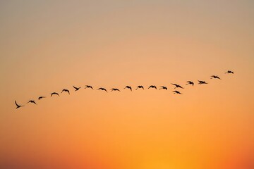A flock of birds flying in the shape of an arrow at sunset.