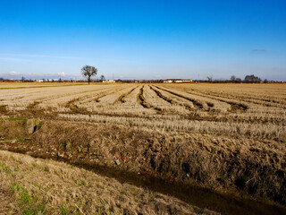 Rural landscape near Gaggiano, Milan, Italy, at winter