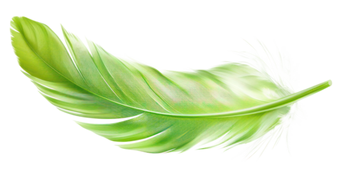 PNG Green feather floating accessories accessory.