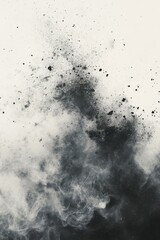 Abstract Black and White Ink Splashes on White Background