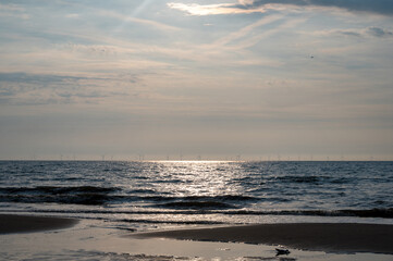 Fototapeta premium Sea with many wind turbines on the horizon