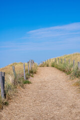 Fototapeta premium Path through the dunes with fence and beach grass on the North Sea coast