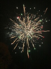 red green gold fireworks in the night sky