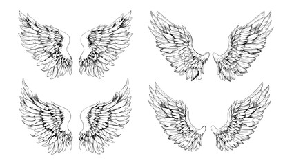 Fototapeta premium Angel wings engraved vector set. Seraphim feathers soar celestial plumage quilled plume cherubim flying divine holy religious heavenly sacred mystical fantasy symbols isolated vectors on white