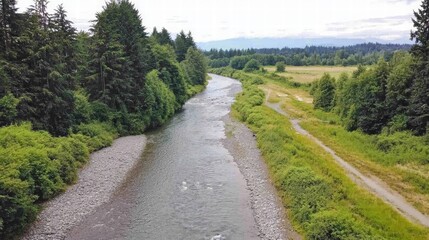 Tranquil River Flowing Through Lush Green Forest Landscape