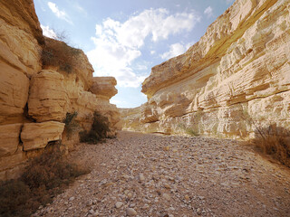White Canyon in the Negev Desert