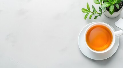 Work-life balance tools - A planner, a cup of herbal tea, relaxation music playlist card, and a small indoor plant, isolated on a modern grey background with copy space