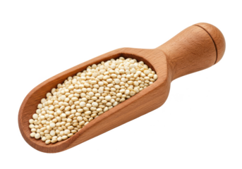 wooden scoop filled with quinoa grains, isolated on white background