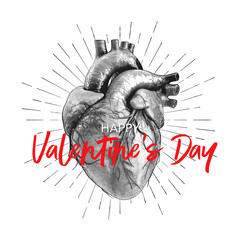 Happy Valentine's Day, Illustration of the Human Heart in engraving technique with star rays and hand lettering. Vector Illustration.