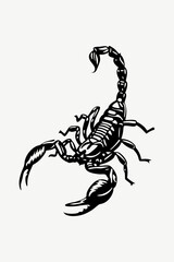 Intricate Scorpion Illustration with Detailed Body and Sharp Stinger